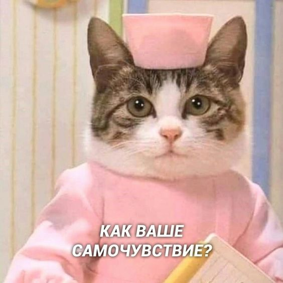1714128497175.webp