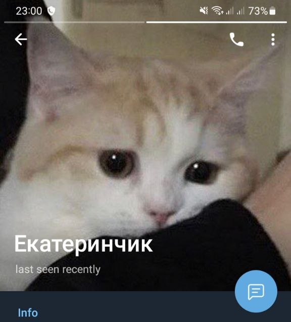 1714162401265.jpeg