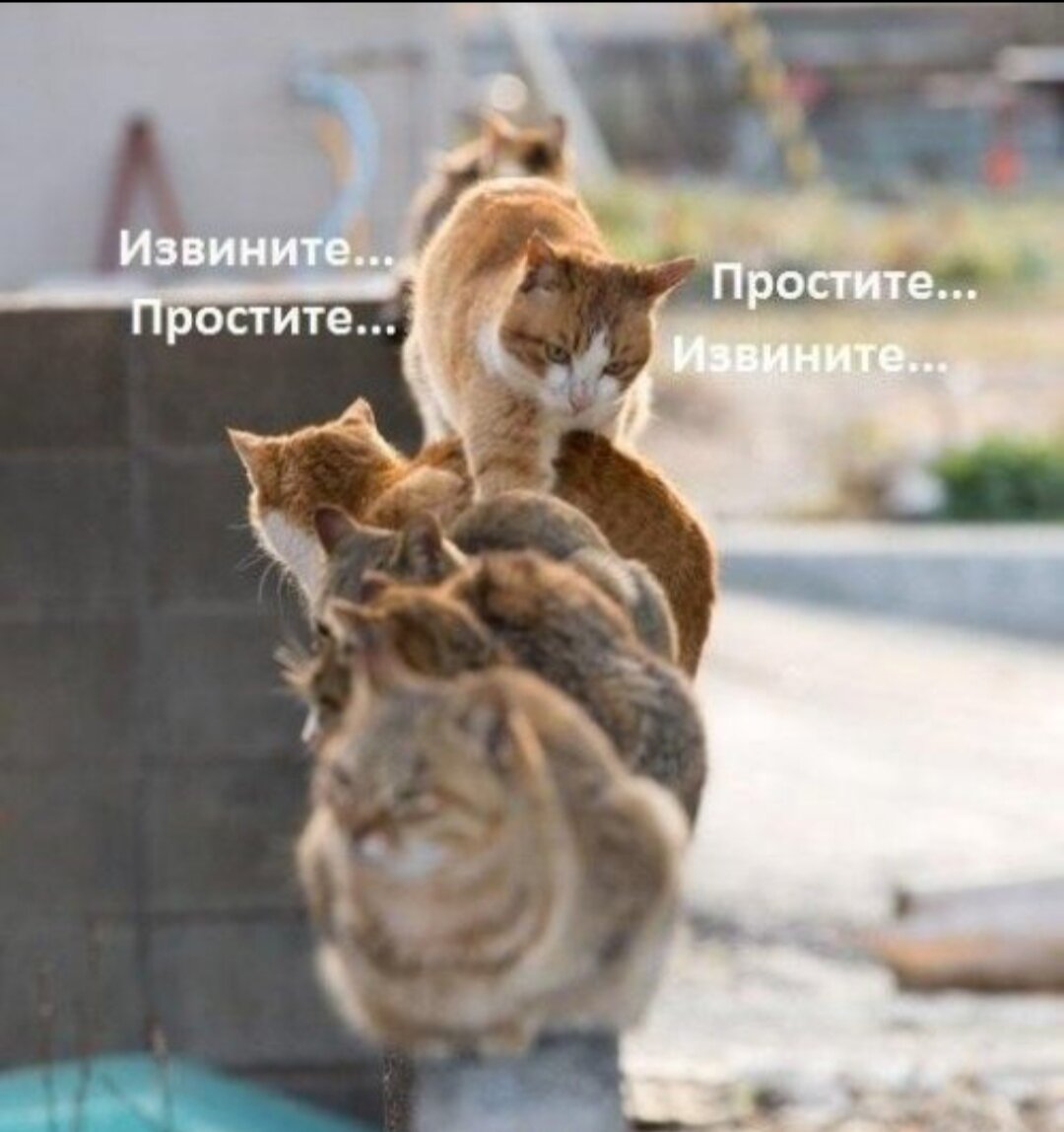 1714241672535.webp