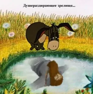 1714507475983.webp