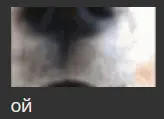 1714835567842.webp
