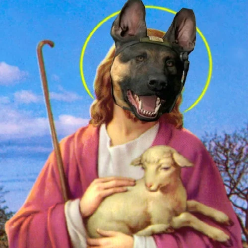 1715169847832.webp