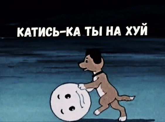 1715194560328.webp