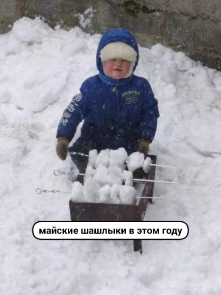 1715271524833.webp