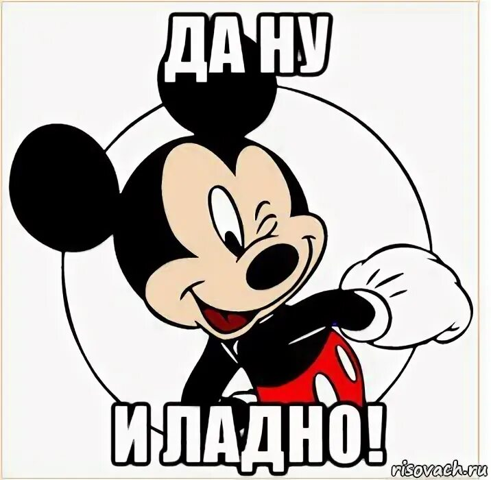 1715537878316.webp