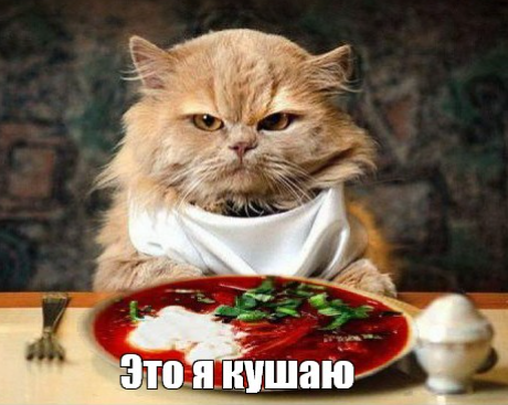 1715944311574.webp