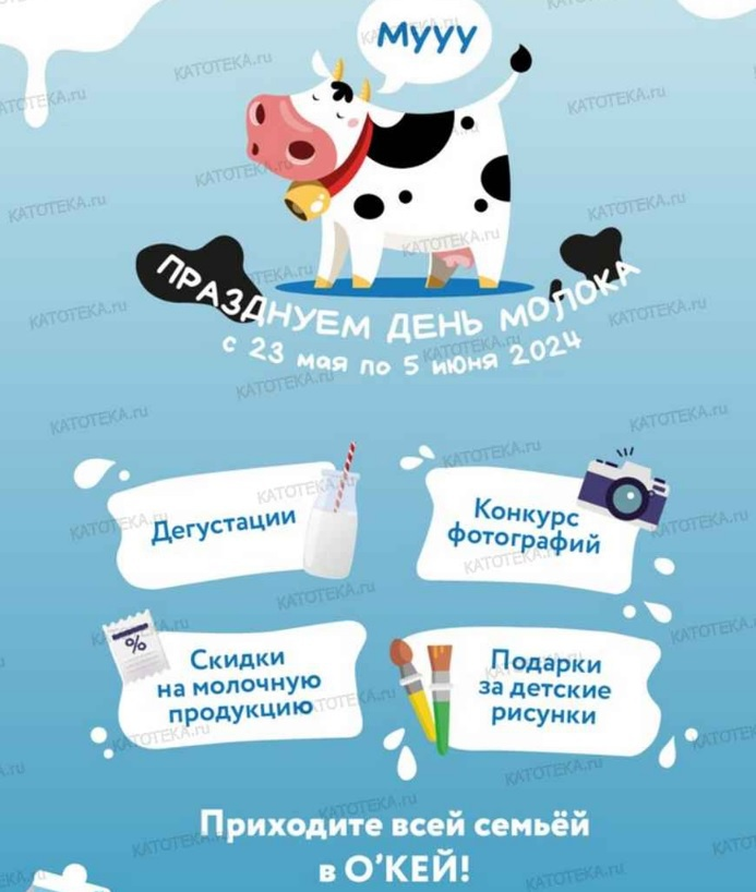 1716372308379.webp