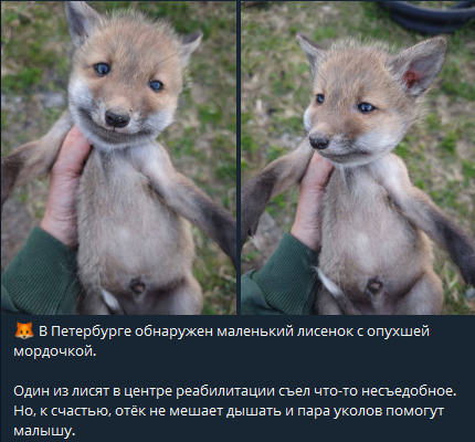 1716375172338.png