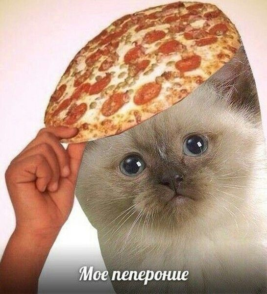 1716455230606.webp
