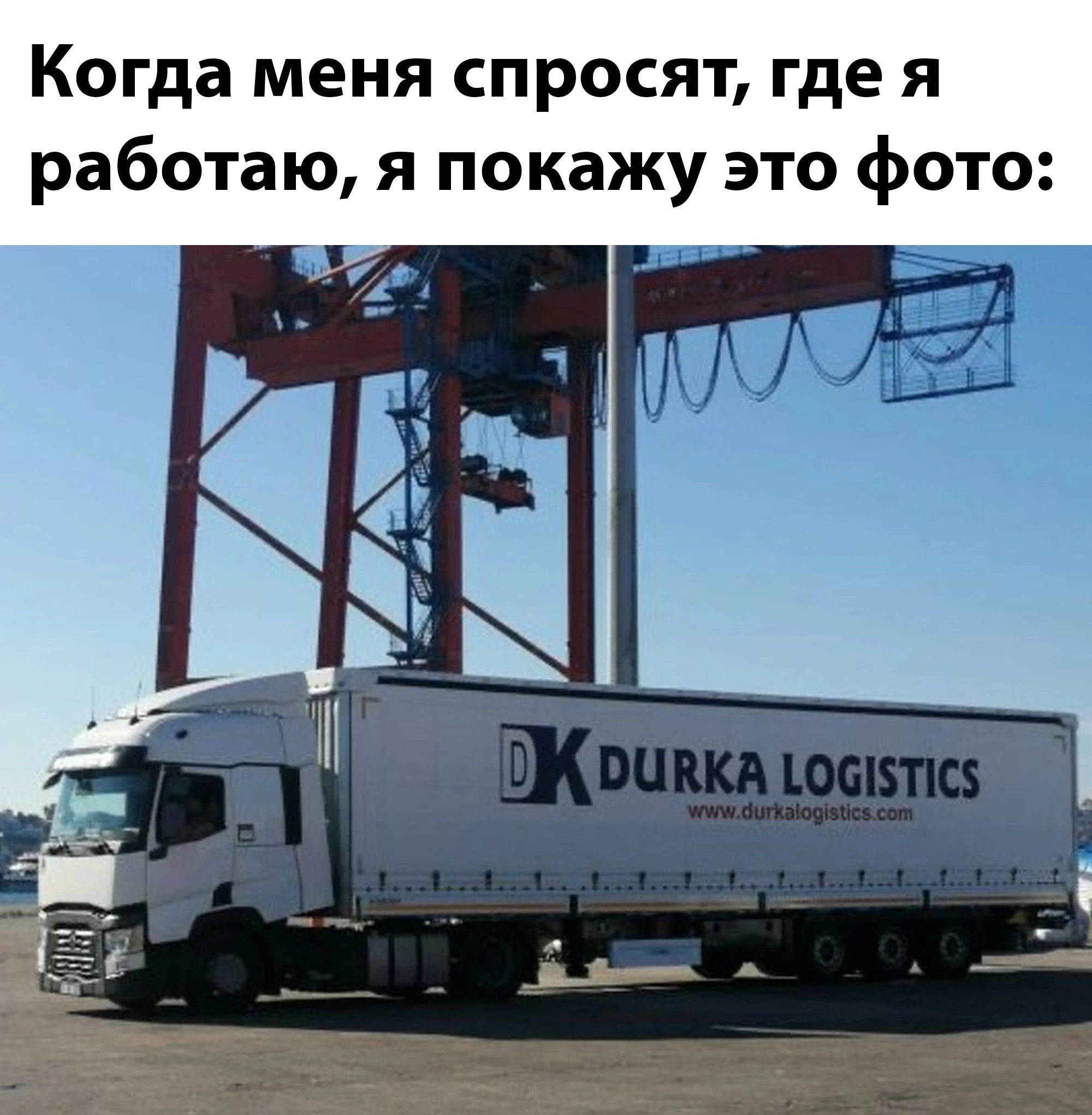 1716469719312.webp