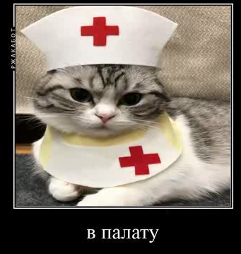 1716635608077.webp