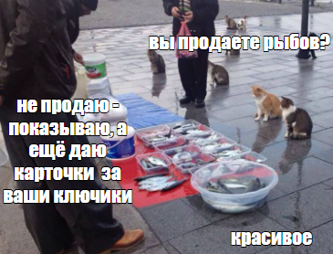 1716809773695.webp