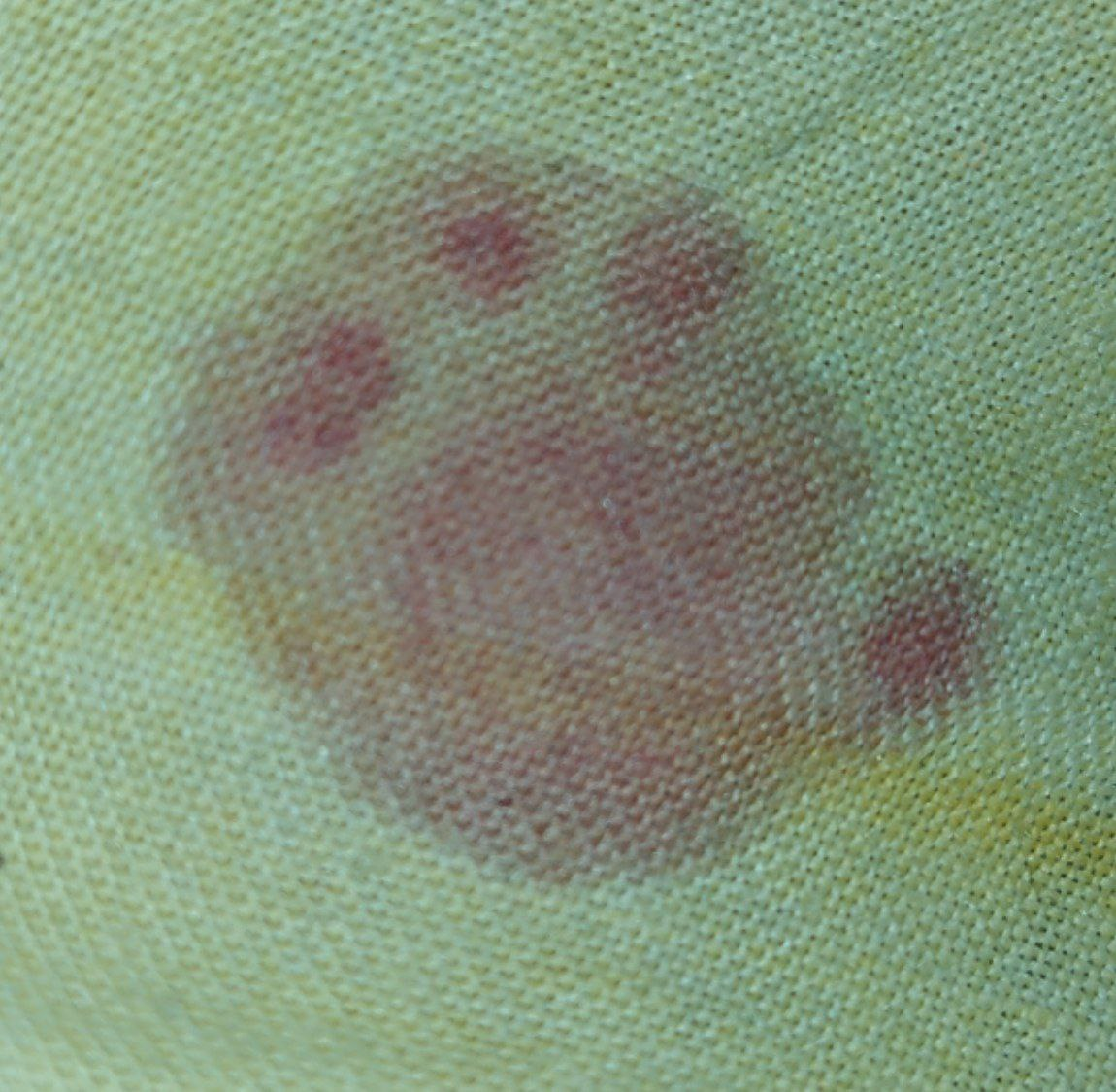 1717010638159.png