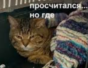 1717061784599.webp