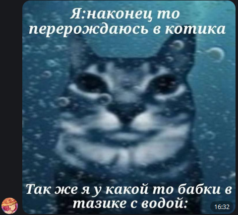 1717076385737.webp