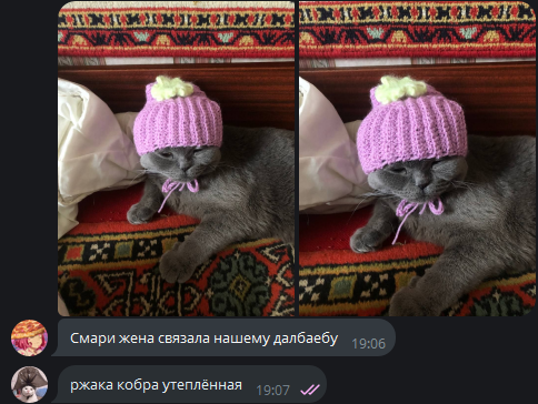1717085624562.webp