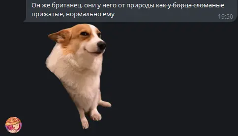 1717089438456.webp
