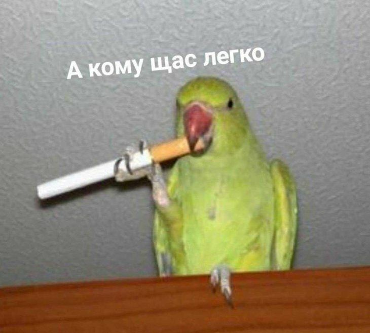 1717209170325.webp