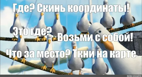 1717252549958.webp
