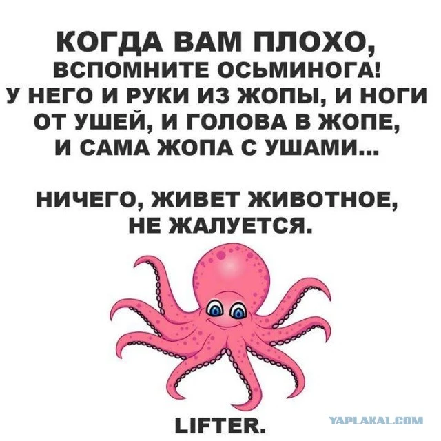 17178543 (1).webp