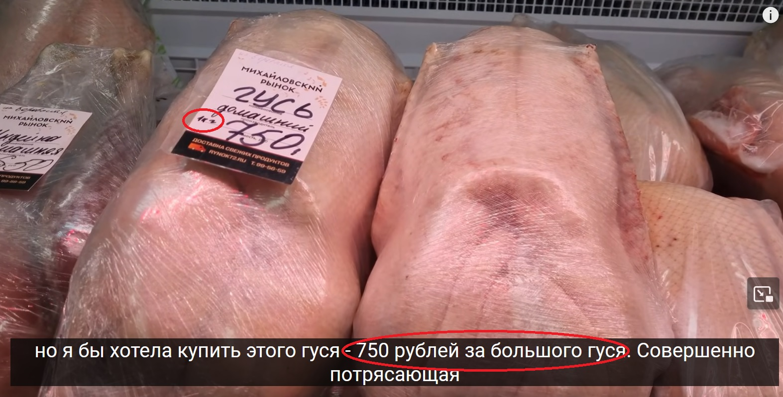 1718095146046.webp