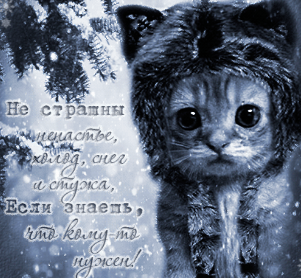 1718211225438.webp