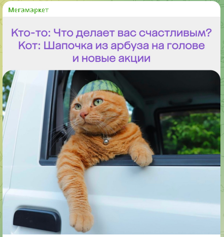 1718472480421.webp