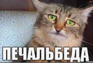 1718544247143.webp