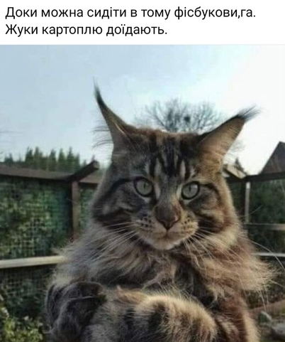 1718561075385.webp