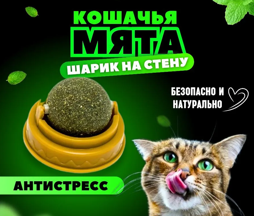 1719483640866.webp
