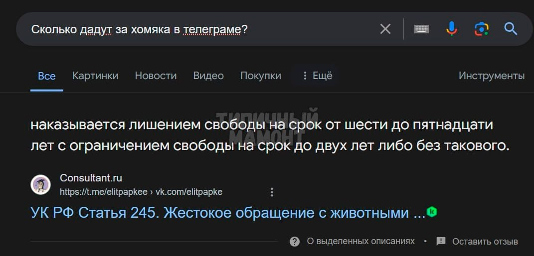 1719490399609.webp