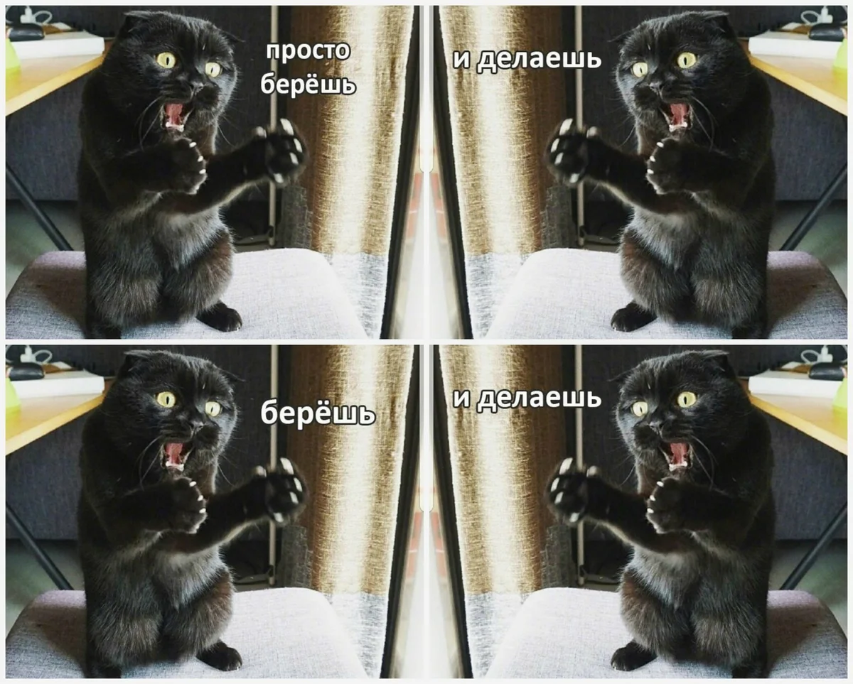 1719782083357.webp