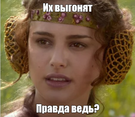 1720108716993.webp