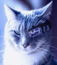 1720162277048.webp