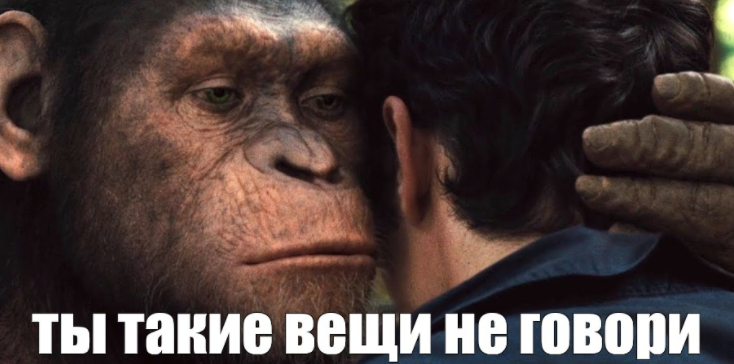 17202585.webp