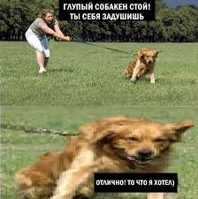 1720362672599.webp