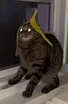 1720389495753.webp