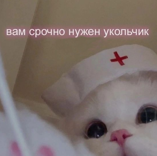 1720517587664.webp