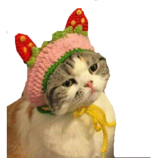 1720543464251.webp