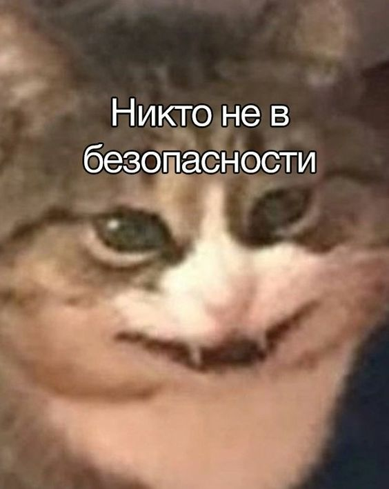 1721249691270.webp