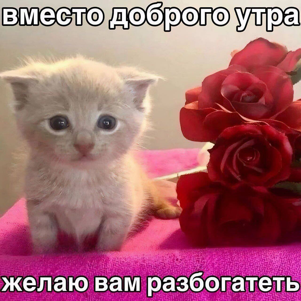 1721286268957.webp