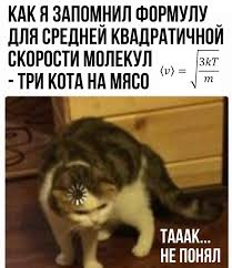 1721493212863.webp