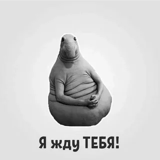 1721563388530.webp