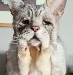 1721670716402.webp
