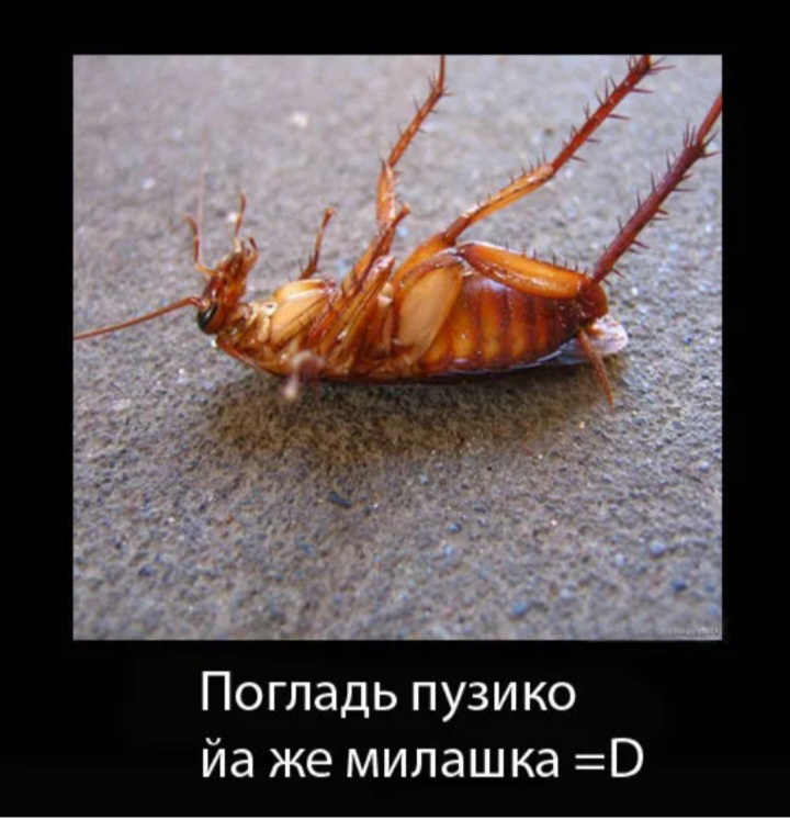 1722711469644.webp