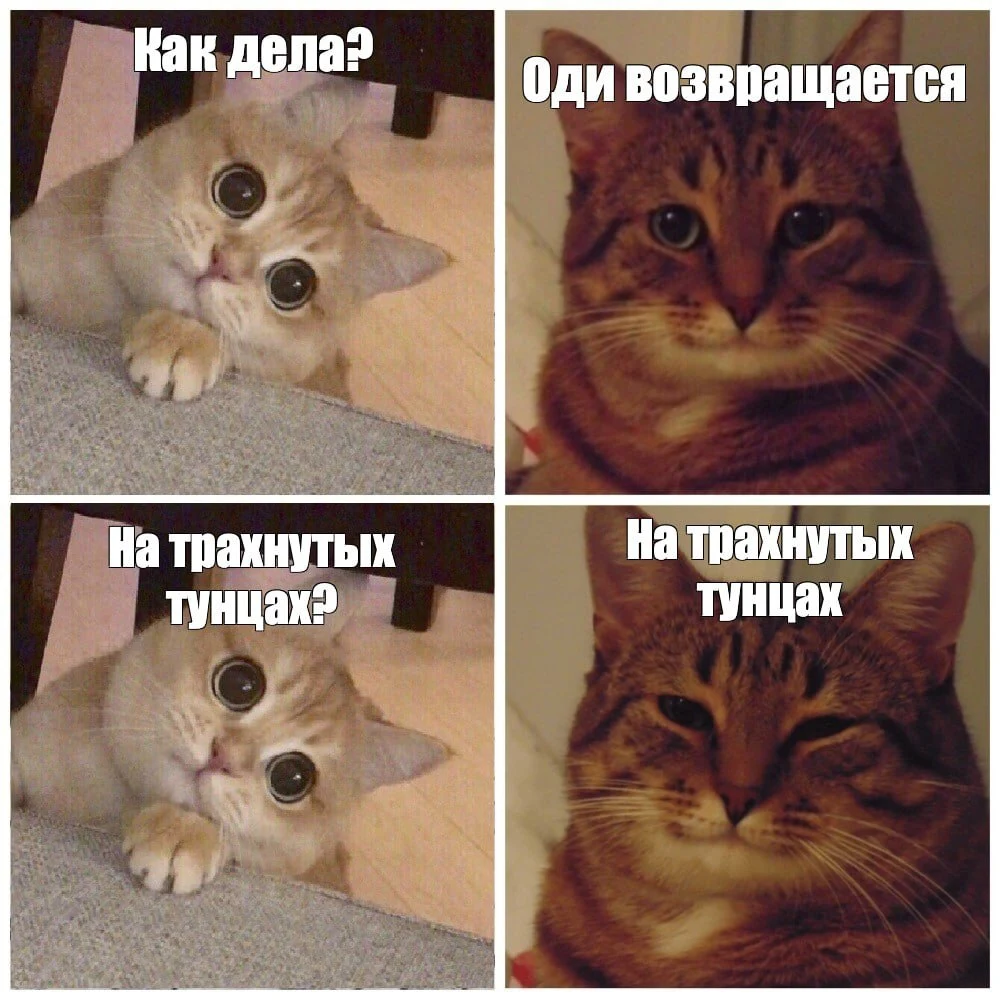 1722731151235.webp