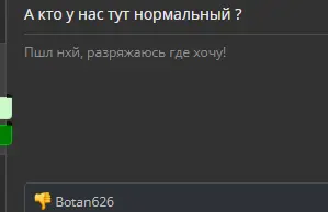 1723062016510.webp
