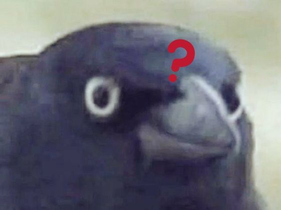 1723137996747.webp