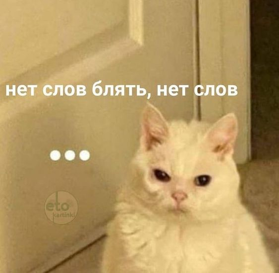 1723287369959.webp