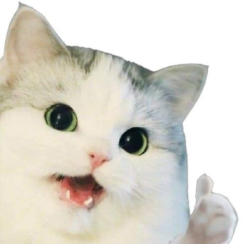 1723313778617.webp